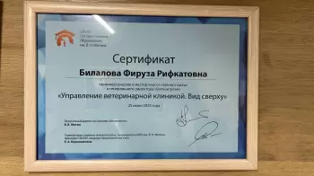 Сертификат сотрудника Билалова Ф.Р.