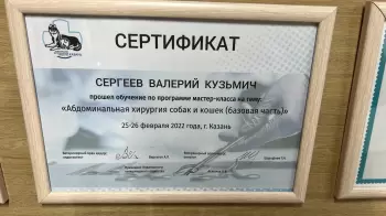 Сертификат сотрудника Сергеев В.К.