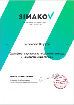 Сертификат сотрудника Билалова Ф.Р.