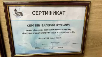 Сертификат сотрудника Сергеев В.К.