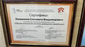 Сертификат сотрудника Канашкина Е.В.