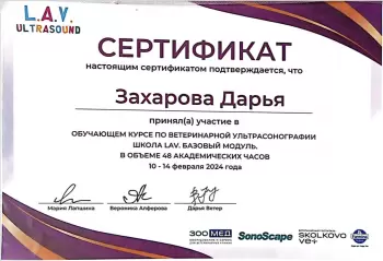 Сертификат сотрудника Юсупова Д.С.