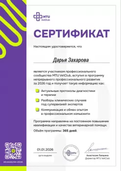 Сертификат сотрудника Юсупова Д.С.