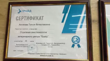 Сертификат сотрудника Антипова Т.В.