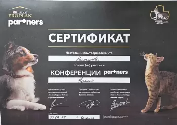 Сертификат сотрудника Малафеева К.Д.