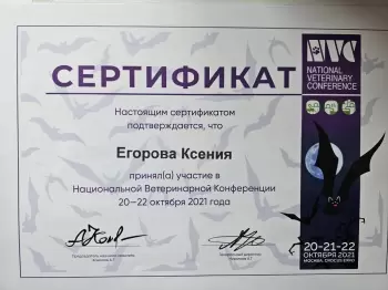 Сертификат сотрудника Малафеева К.Д.