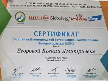 Сертификат сотрудника Малафеева К.Д.