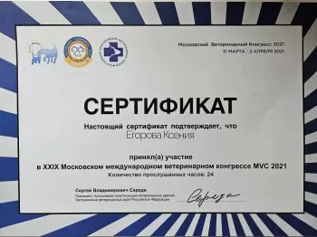 Сертификат сотрудника Малафеева К.Д.