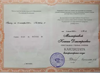 Сертификат сотрудника Малафеева К.Д.