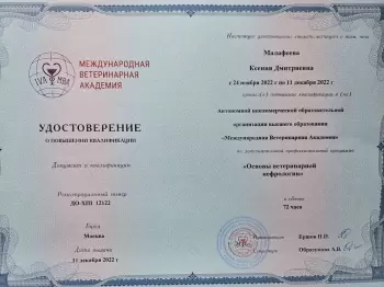 Сертификат сотрудника Малафеева К.Д.