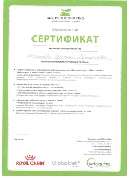 Сертификат сотрудника Елейник Г.Г.