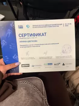 Сертификат сотрудника Цветкова И.И.
