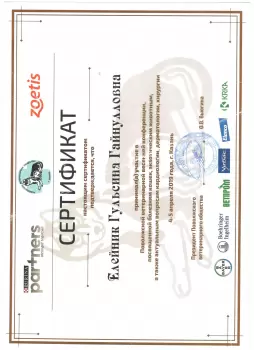 Сертификат сотрудника Елейник Г.Г.