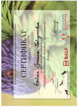 Сертификат сотрудника Елейник Г.Г.