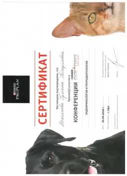 Сертификат сотрудника Елейник Г.Г.