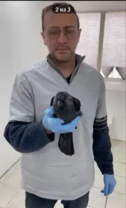 Фотография ДокторВет 0