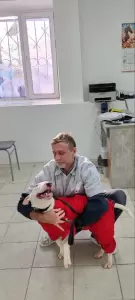 Фотография ДокторВет 1