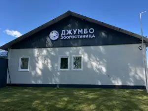 Фотография Джумбо 1