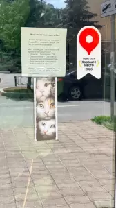 Фотография Пандавет 4